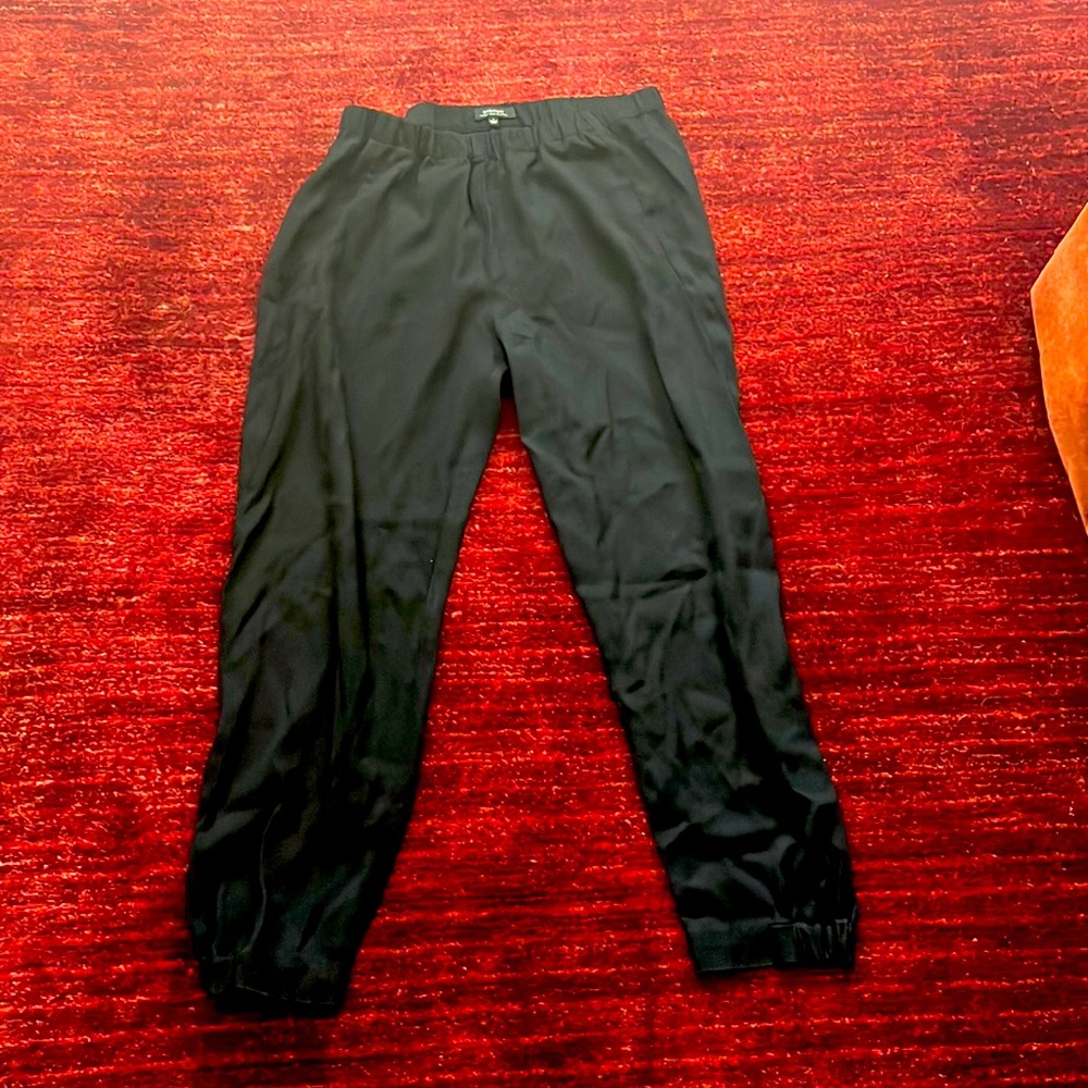 Nylon pants. Size L. Purchased from Aritzia.